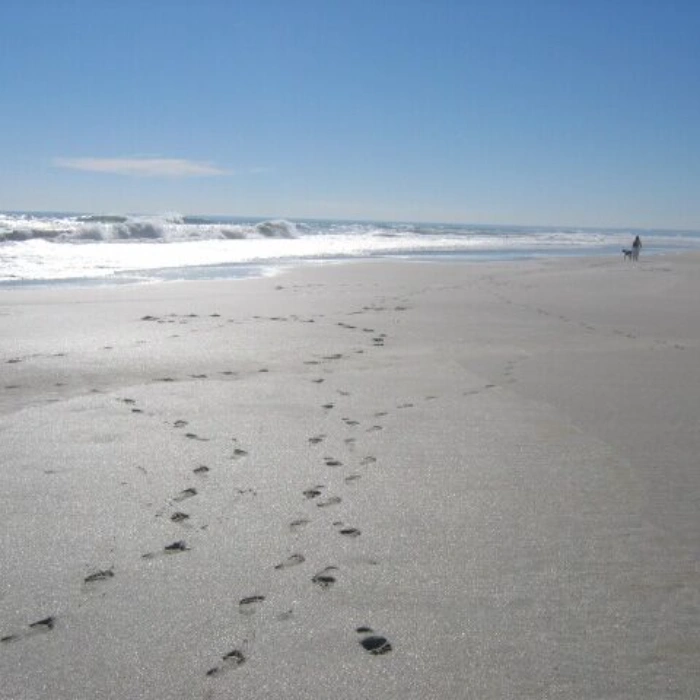 the lodge atatlantic beach – beaches- 01